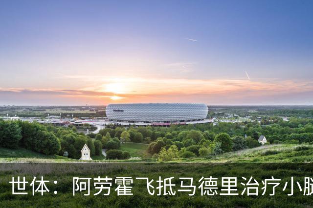 世体：阿劳霍飞抵马德里治疗小腿伤势，乌拉圭目标让其出战西班牙