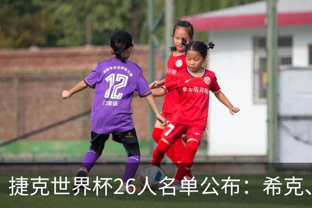 捷克世界杯26人名单公布：希克、绍切克领衔，金斯基遗憾缺席