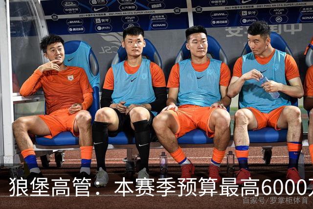 狼堡高管：本赛季预算最高6000万欧，力争完成在德乙的目标