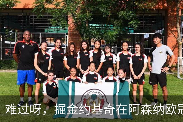 难过呀，掘金约基奇在阿森纳欧冠决赛后，加油助威的喜悦化为乌有