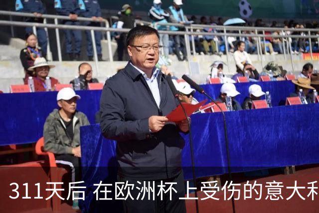 311天后 在欧洲杯上受伤的意大利国脚终于复出了